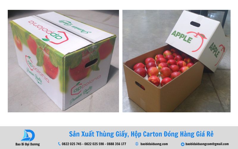 Mẫu thùng carton đựng táo