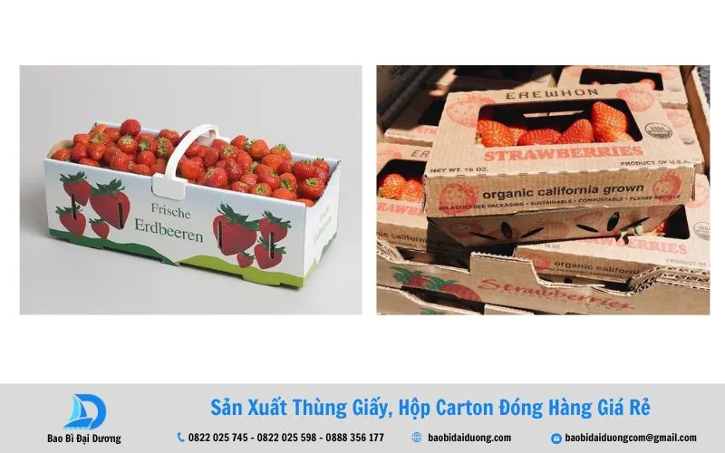 Mẫu thùng carton đựng dâu tây