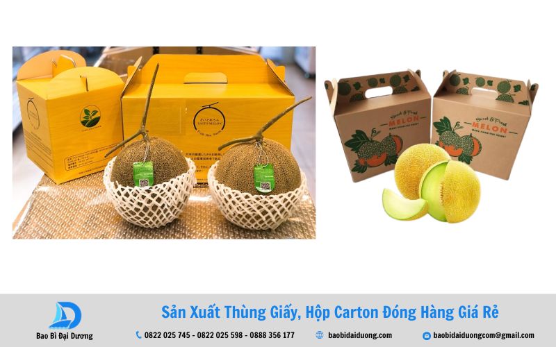 Mẫu thùng carton đựng dưa lưới