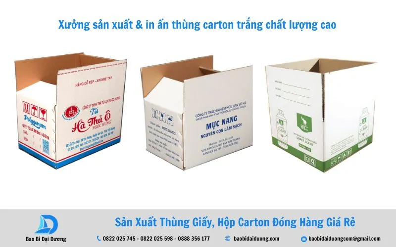 Bao Bì Đại Dương - xưởng sản xuất hộp carton trắng uy tín