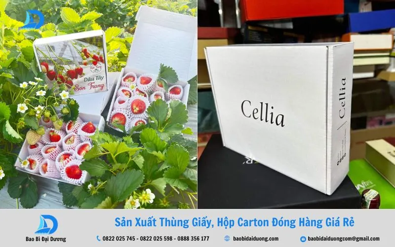 Đặc điểm của hộp carton trắng 