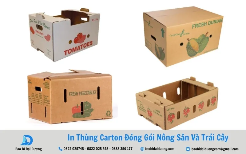 cấu tạo thùng carton đựng nông sản