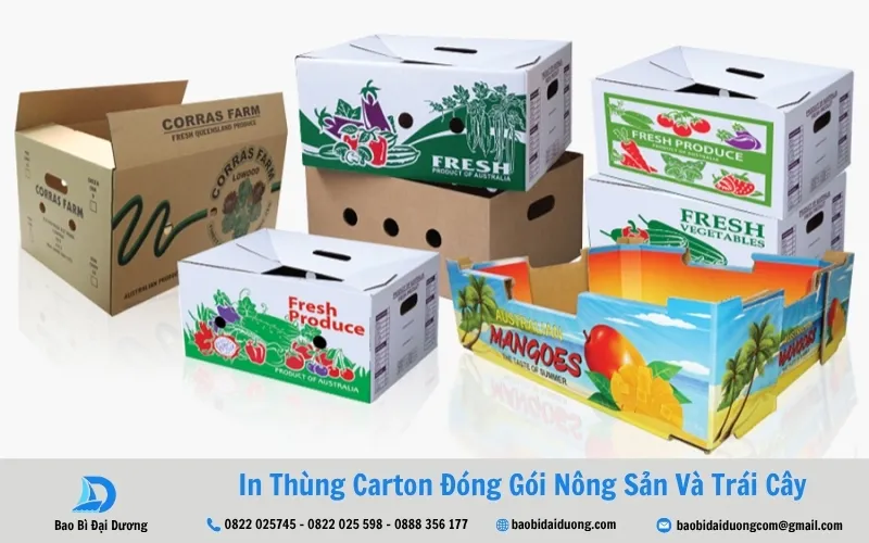 đặc điểm thùng carton