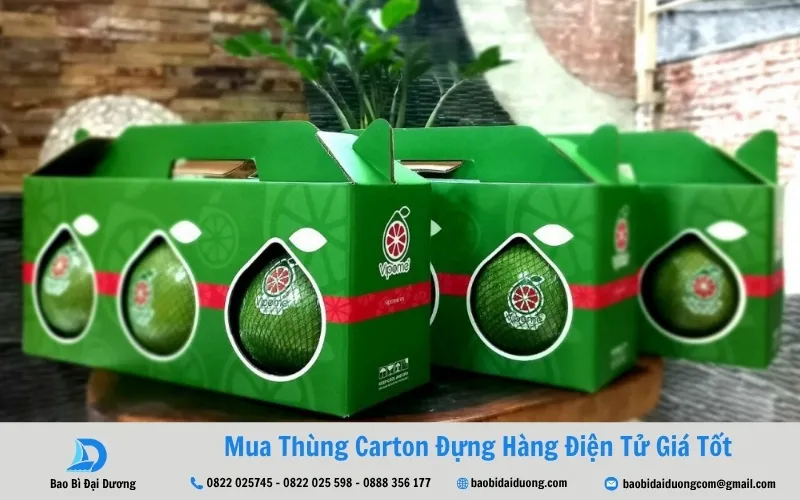 hộp carton cho vật phẩm tiêu dùng khác