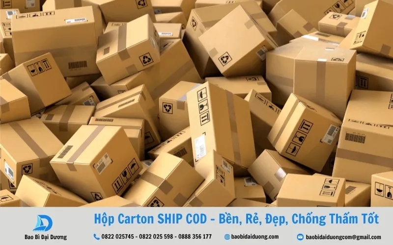 hộp carton ship cod bao bì đại dương