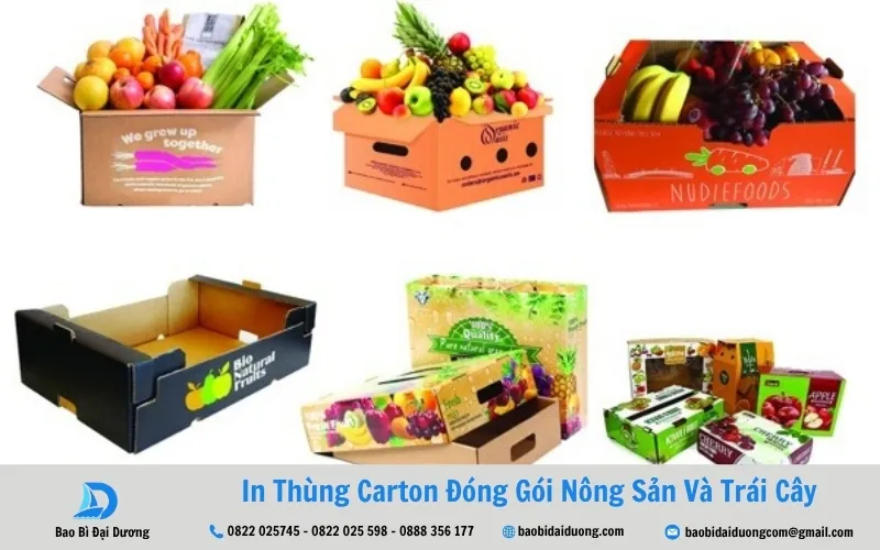 kích thước thùng đựng trái cây