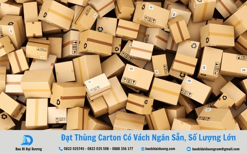 lựa chọn thùng carton