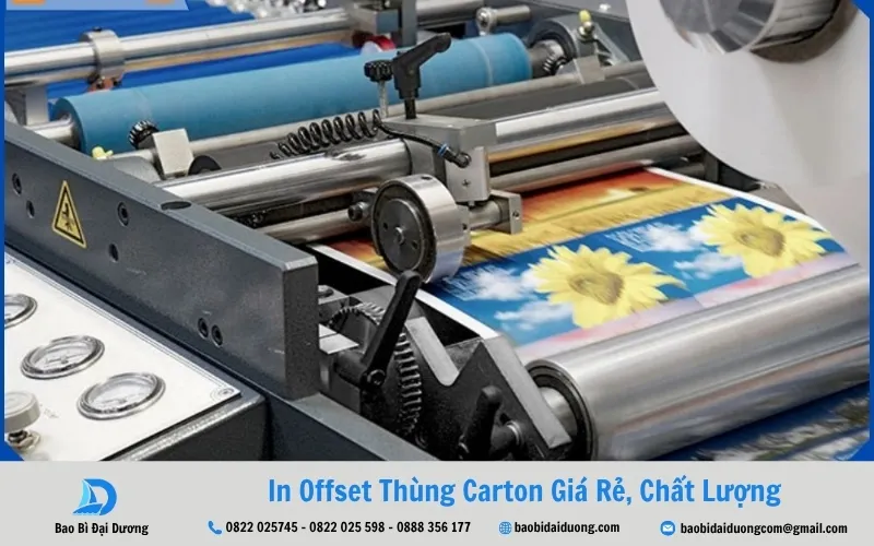cong-nghe-in-offset-in-carton